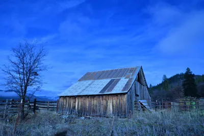 DSC_5826 (Large).JPG